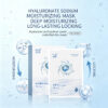 Sodium Hyaluronate Moisturizing Sheet Mask